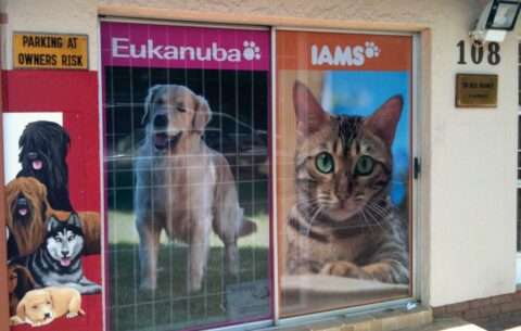 Contra Vision Window Signage - Octangle Marketing & Signage